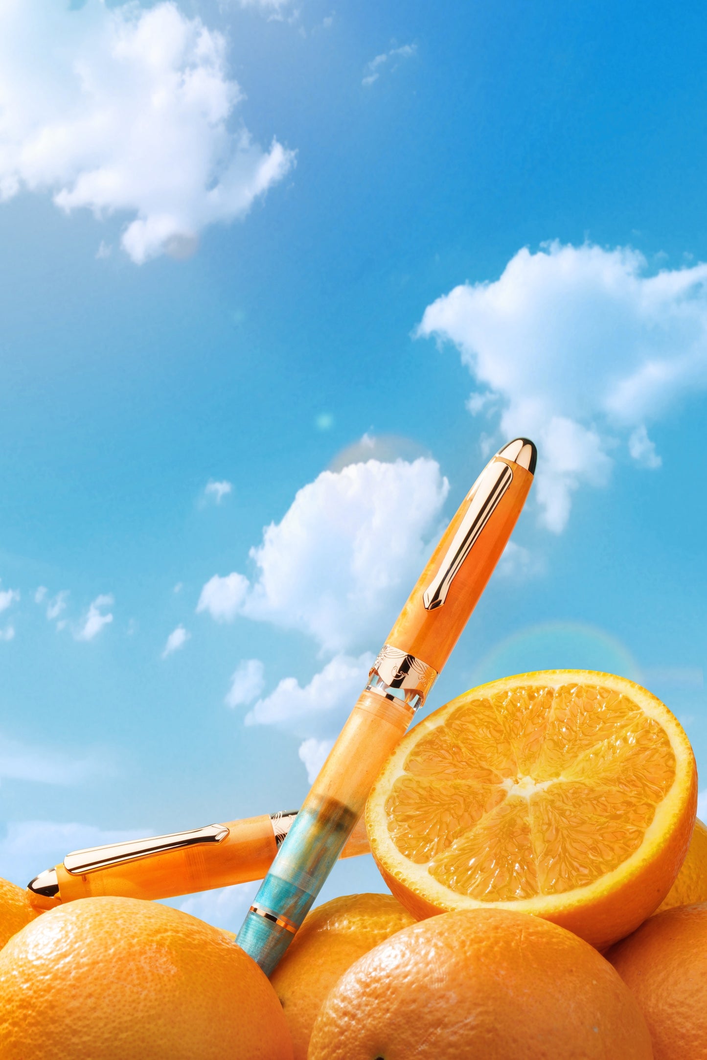 Orange pen on a pile of oranges with a blue sky background